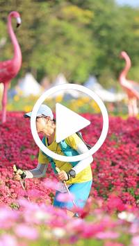 BIB:  <button type="button" onclick="openModal(27583632)" class="btn btn-primary btn-sm float-right" data-toggle="modal" data-target=".modal-high-quality">
                <i class="fa fa-download"></i> Download
                </button>